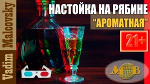 3D stereo red-cyan Настойка на рябине или рябиновка ароматная. Мальковский Вадим