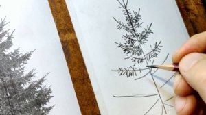 УРОК 1 - КАК ЛЕГКО НАРИСОВАТЬ ЕЛЬ | Нарисовать ель поэтапно сможет каждый!