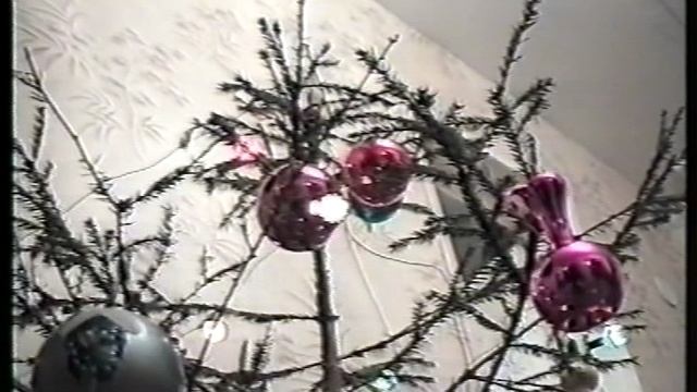 Домашнее видео. Кассета 1994 - 1996 годы. Часть 7