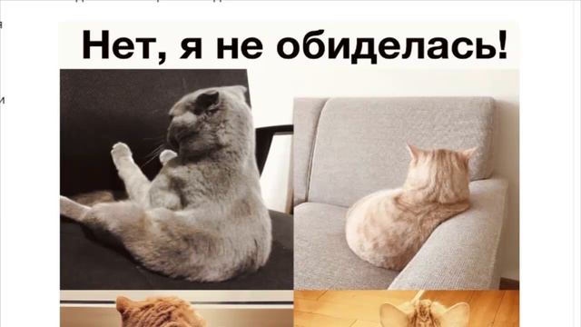 «Управляют мужчинами».Почему американца удивило, как русские девушки часто обижаются на мужчин. смотреть онлайн