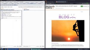Web cache poisoning via a fat GET request (Video solution)
