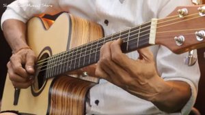 Aiersi Brand zebra wood acoustic guitar SG02SZ