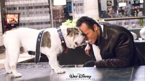 12 лучших комедий с Дуэйном Джонсоном