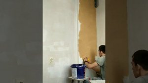 Жидкие обои и их нанесение.Подготовка и замешивание жидких обоев