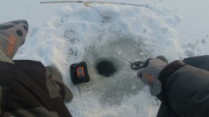 #301 Ротан со льда