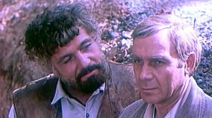 Светлой памяти Михая Волонтира посвящается