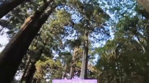 || Pov: семейный отдых!! ||
(твой парень минхо) 
(Felix and Lee know)