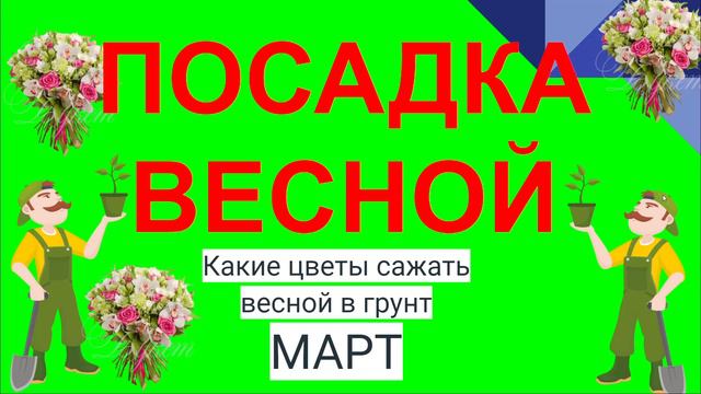 ПОСАДКА ВЕСНОЙ. ЦВЕТЫ В МАРТЕ смотреть онлайн