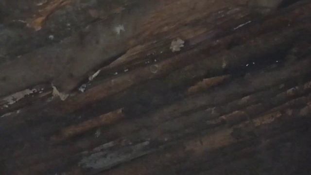 Землянка.С печкой уютно. Масочный режим. Конструкцыю стола подсмотрел у @LESNUE смотреть онлайн