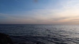 Почему иностранка в Петербурге? | Впечатления иностранцев | Швейцарк говорит по-русски