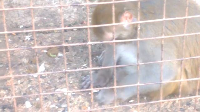 Отдых в сказке омск смотреть онлайн