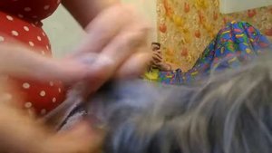 Стрижка у йорка попы и хвоста