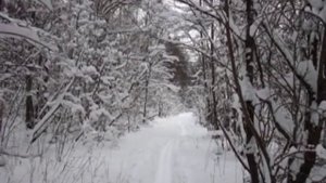 Поселок Свеча