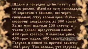 Как Львов в 1941г. встречал Гитлера.