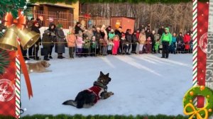 Показательные выступления Советский парк - ОЦССС