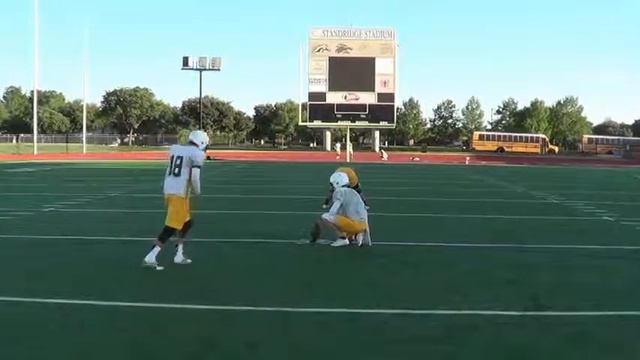 C Gonzalez 50yd FG смотреть онлайн
