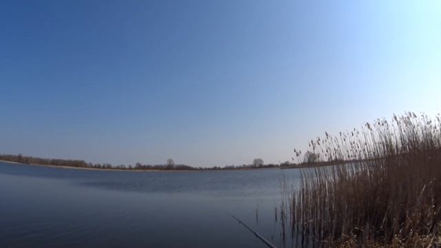 КЛЁВ КАЖДУЮ СЕКУНДУ.Рыбалка весной 2020. Ловля на поплавочную удочку.Рыбалка 2020 в Апреле. смотреть онлайн