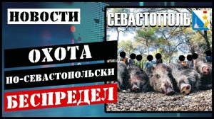 Отстреляли 9 оленей 300 кабанов и никто не наказан! Куда дели 15 тонн мяса!