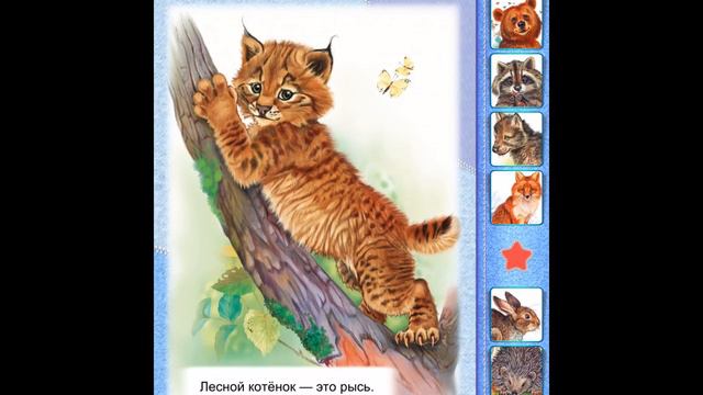 В лесу. Обучающая игра . Мир зверей для малышей. Играем вместе. Игрушки и игры с детьми. смотреть онлайн