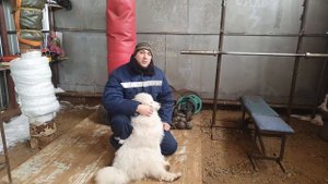 ЛЕЧЕНИЕ БОЛЬНОГО ГЛАЗА У СОБАКИ