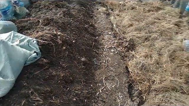 Тюменский огород. Дневник. настроение радостное 5 апреля смотреть онлайн