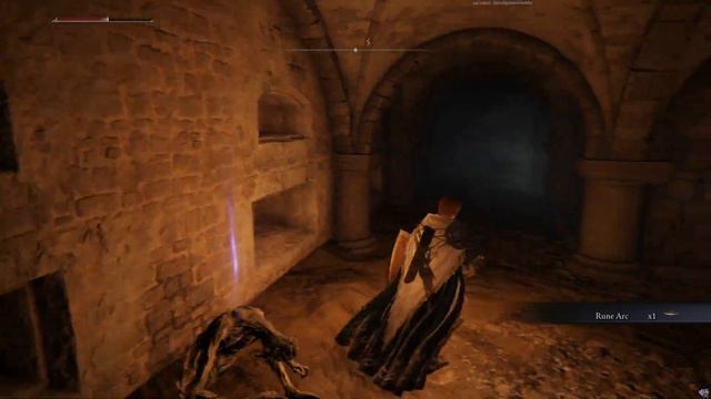 Elden Ring Extras - Liurnia, Road's End Catacombs, Spiritcaller Snail смотреть онлайн