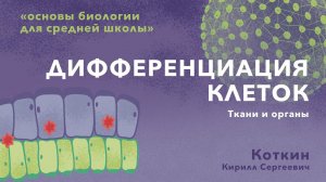 7. Дифференциация клеток. Ткани и органы