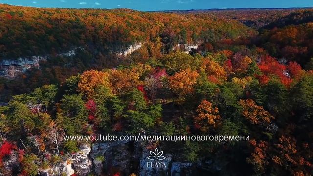 ПРОГРАММИРУЙТЕ СВОЙ УМ НА ПОЗИТИВ ! Слушайте Ежедневно Самые Мощные Аффирмации для Позитивного Ума