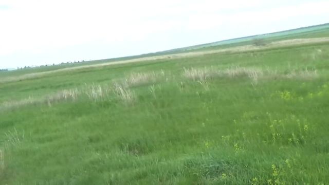 #Урочище времён Николая II, забыто и не хожено! смотреть онлайн