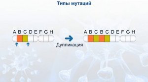 Типы мутаций. Генные, хромосомные и геномные. Мутационная изменчивость.