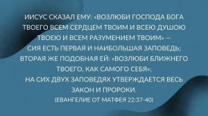 Суть Библии за 30 минут /Изучение Библии/Прямой эфир