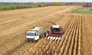 Перспективная технология уборка кукурузы на корнаж