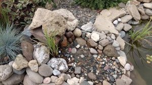 Биоплато.Мельница из камня.Растения для очистки воды в пруду.