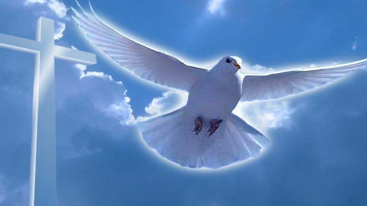 прославление Господа 05.11.2023г.