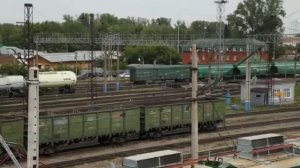 Специальность: Организация перевозок и управление на транспорте (по видам)