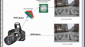 Формат RAW и его отличия от JPG