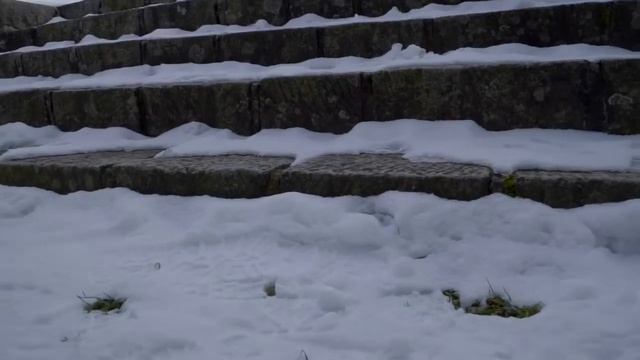 20-й БЛОК "Охота на зайцев"
