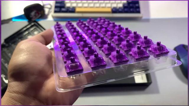 Akko CS Lavender Purple смотреть онлайн