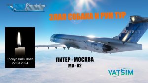 MSFS 2020 / VATSIM / ПИТЕР - МОСКВА / РУМ ТУР