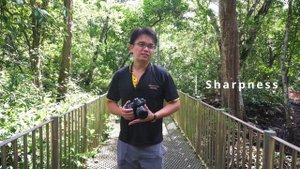 Nikon AF-S 18-70mm f/3.5-4.5 review