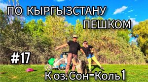 17. По Кыргызстану пешком. Село Кочкор - Сары-Булак - поворот на Кен-Суу (к озеру Сон- Коль)