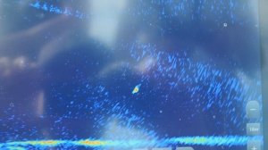 Это меняет всю игру:  трофейный судак - легко!