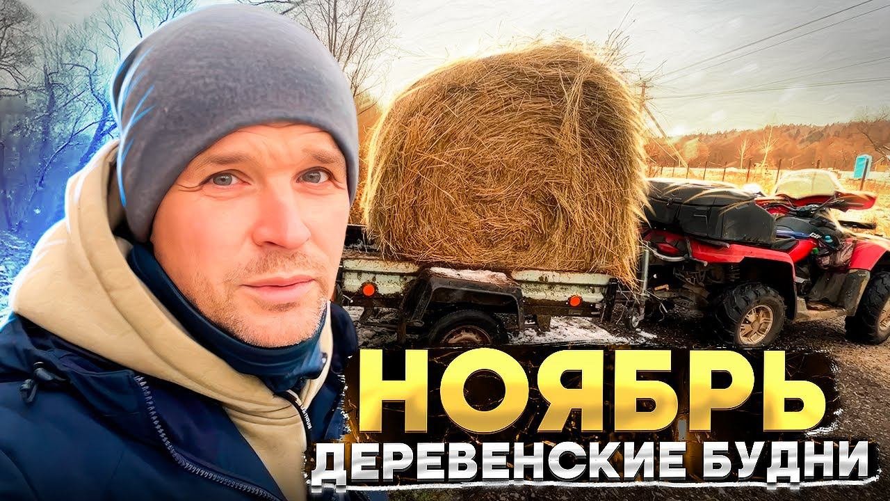 Деревенские будни. Ноябрь.