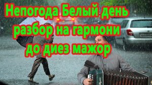 Непогода Белый день // разбор на гармони до диез мажор