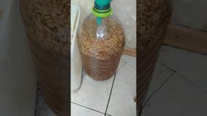 Домашний медовый квас