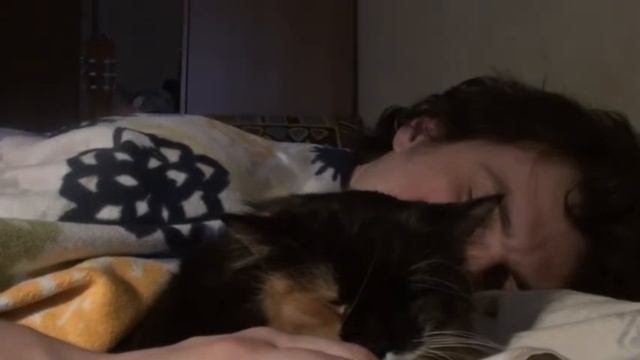 Спичков и Муся, ноябрь 2011 смотреть онлайн