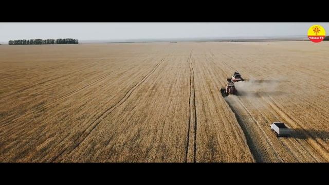 Чувашская традиция "Праздник нового хлеба"