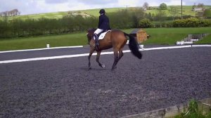 Rivers 76 66% BD dressage test!