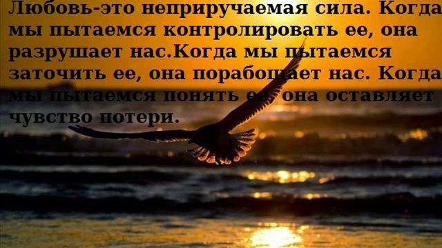 Любовь. Красивые Цитаты О Любви