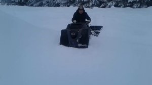 Мото сабака.Баливар не вытащит троих.